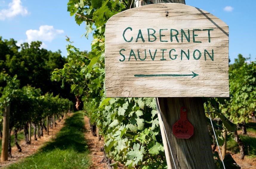 Cabernet Sauvignon: origins, characteristics and pairings