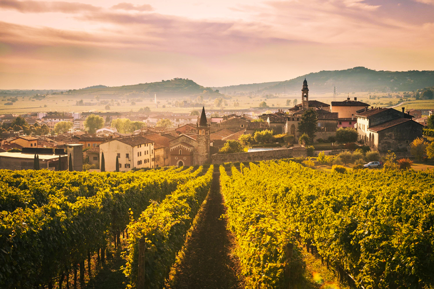 Soave: discovering a great white wine