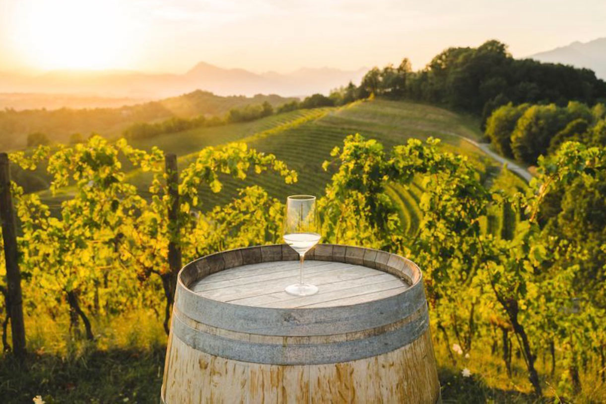 Friuli-Venezia Giulia: white wines of excellence