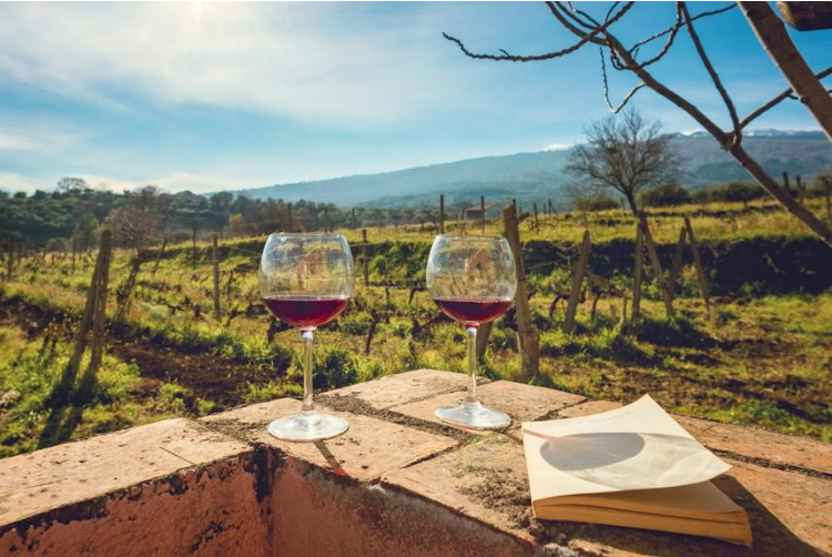 The best Sicilian wines: pairings and characteristics 
