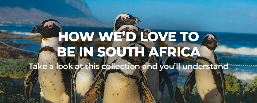 HOW WE�D LOVE TO BE IN SOUTH AFRICA