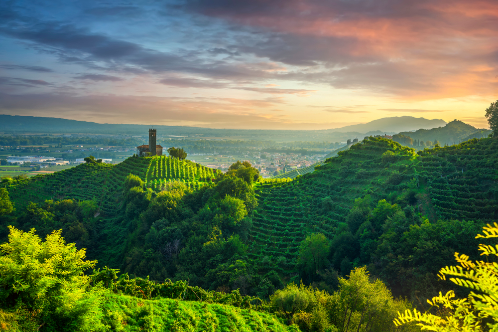 Areas of origin and denominations of Prosecco Areas of origin and denominations of Prosecco