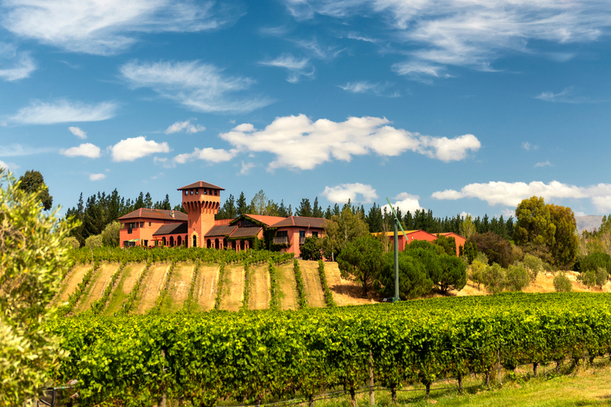 new zealand wines productions areas