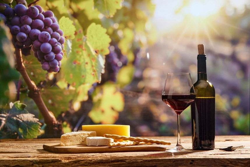 Organic italian wine and food pairings Organic italian wine and food pairings