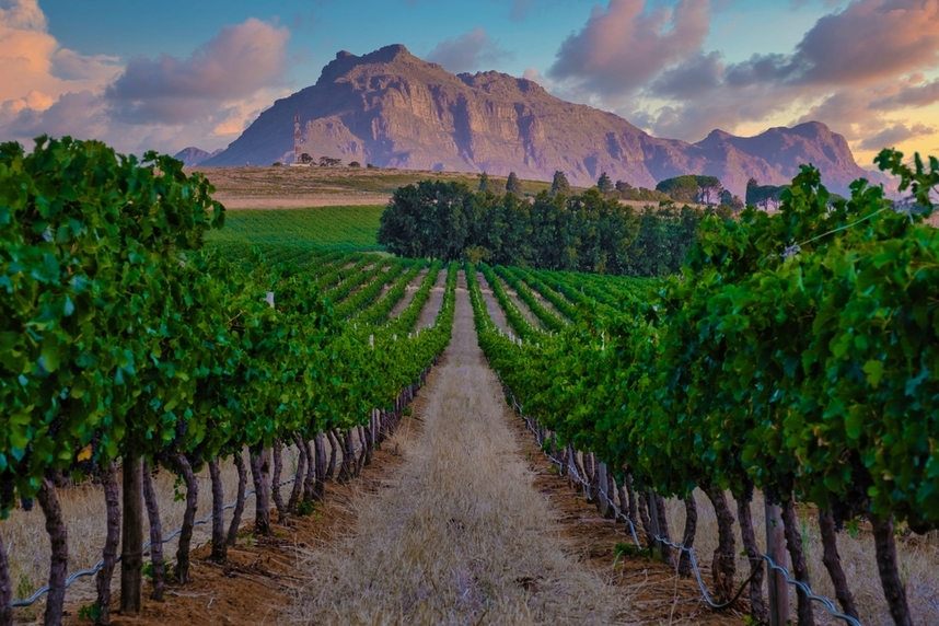 south africa wine production areas south africa wine production areas
