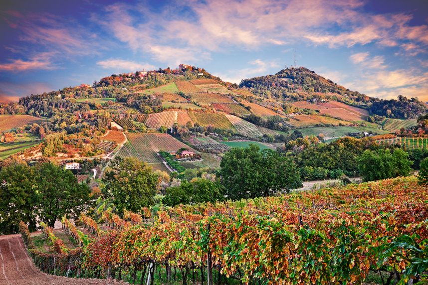 The typical Trebbiano production area