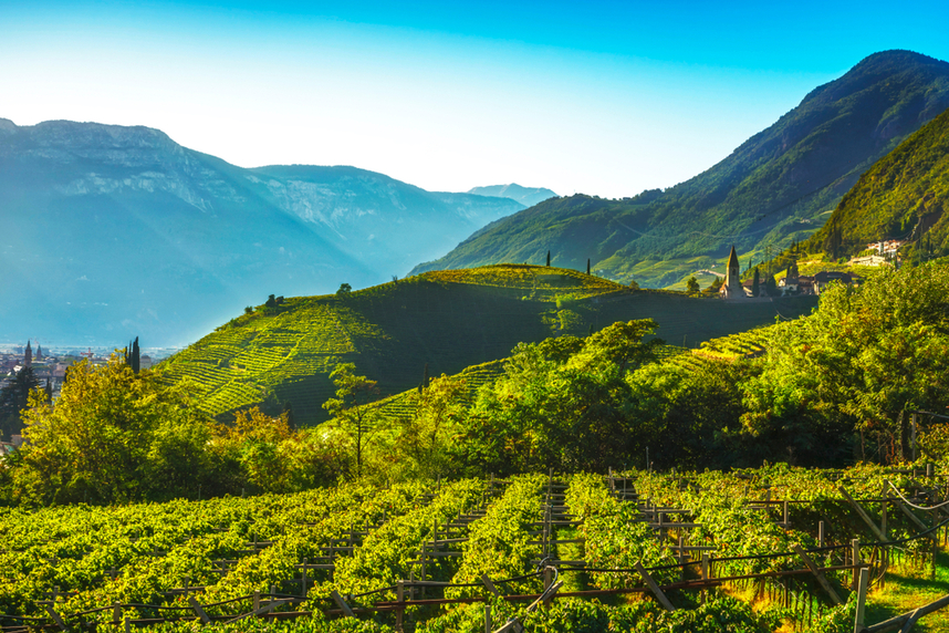 The production areas of Trentino wines